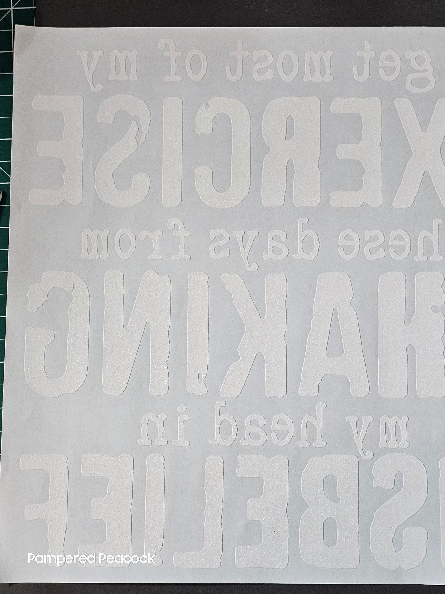 {I get most of my Exercise these days from Shaking my head in Disbelief- WHITE INK}- T- Shirt - RTC